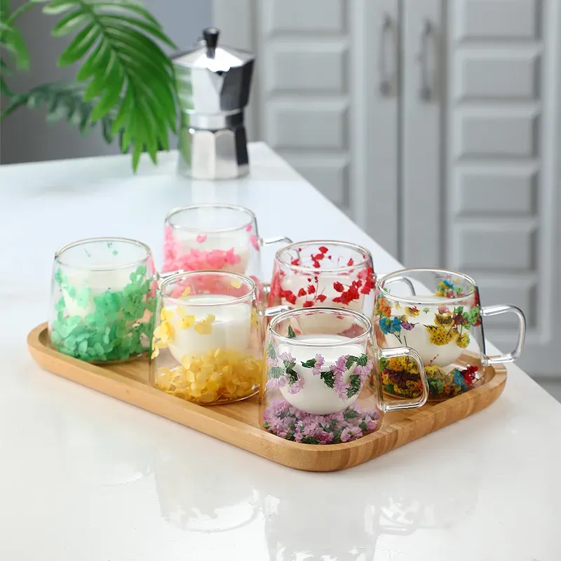 Ideal Double Wall Glass Cup