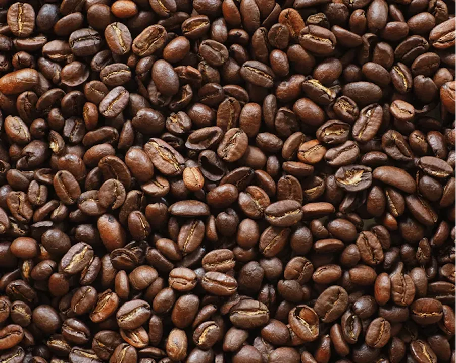 MEDIUM ROAST