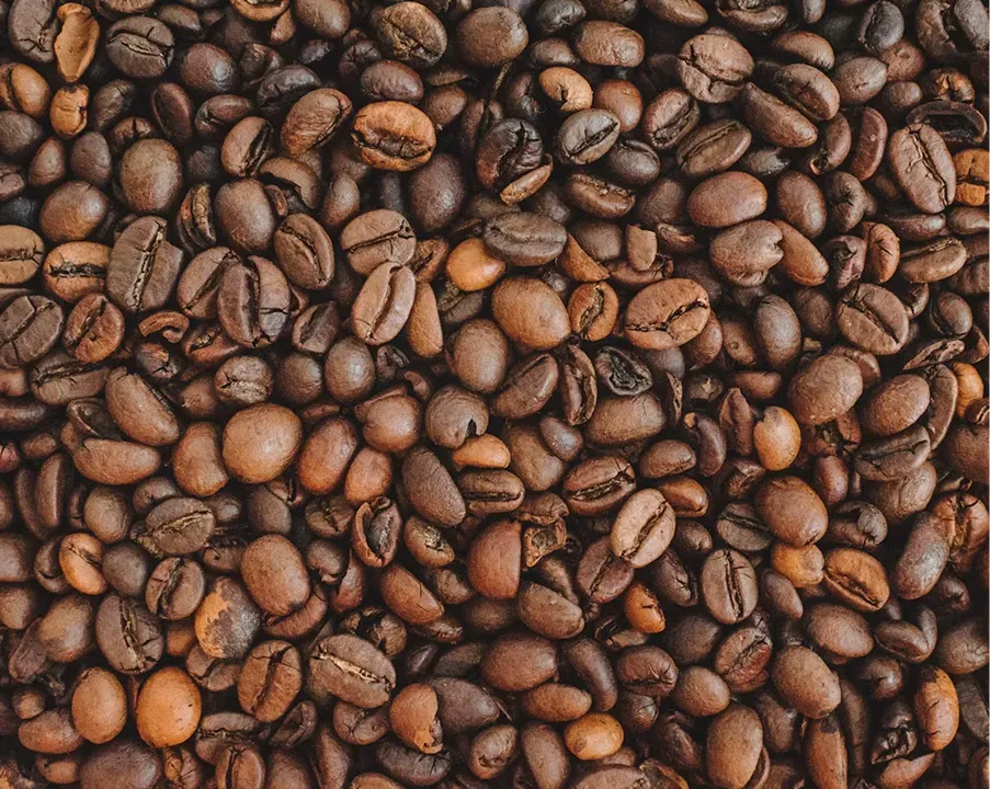 LIGHT ROAST